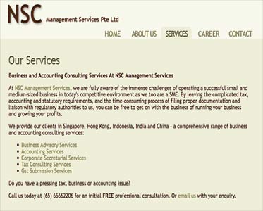 web writing sample