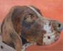 pet portrait artist