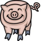 Chinese Astrological Pig