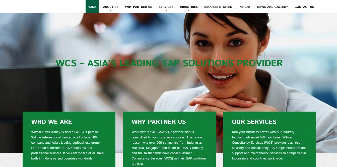 Website copywriting for SAP consultancy company